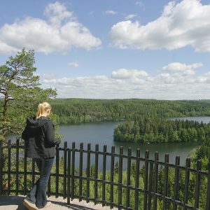 VM_849_vesistö_kesä_hämeenlinna_aulanko_kansallismaisema_maisema_järvi