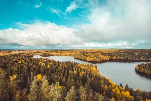 Kuva1 Aulangon järvi ja puita